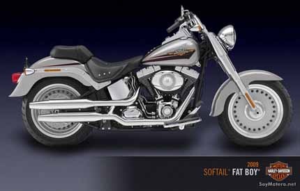 Harley Davidson Fat Boy 2009 2